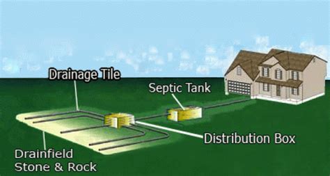 drop box vs distribution box|d box effluent distribution.